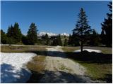 Kraljev hrib - Gradišče (Velika planina)